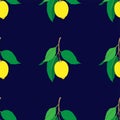Seamless pattern with lemons  isolated on dark background. Yellow fresh Fruits with green leaves. Summer design. Royalty Free Stock Photo